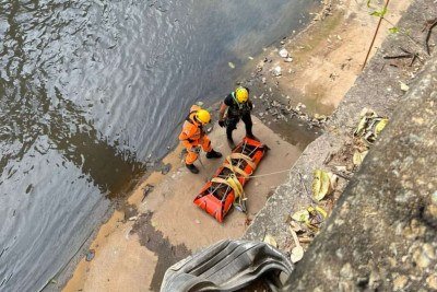 Queda no Rio Arrudas deixa potro gravemente ferido -  (crédito: CMMG/Divulgação)