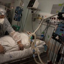 Medidas para conter avanço de fungos resistentes a medicamentos; entenda - Gustavo Basso/Wikimedia Commons