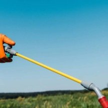 Herbicida mais usado do mundo pode estar ajudando superbactérias resistentes a antibióticos, aponta estudo - Portal Giro 10