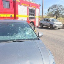 BH: homem em situação de rua é atropelado no Anel Rodoviário - CBMMG