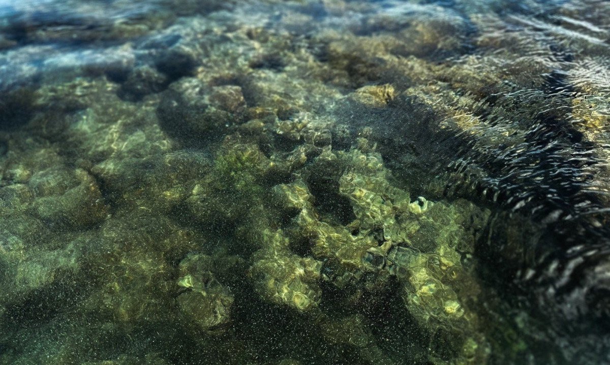 Um aquário natural entre corais e peixes coloridos-Quéren Hapuque/EM/D.A Press