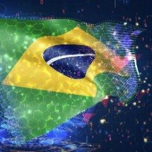 TCU alerta: falta de profissionais ameaça governo digital - DINO