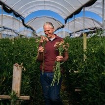 Flor tem origem: o mercado que o Brasil ainda não vê  - DINO