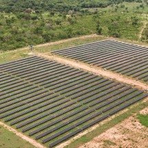 Cresce busca por assinaturas de energia solar no Brasil - DINO