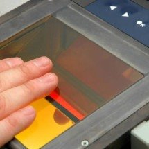 Impressões digitais: por que é praticamente impossível existir duas iguais no mundo - Portal Giro 10