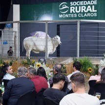 Expomontes 2026 inicia nesta sexta e espera movimentar R$ 400 milhões - Solon Queiroz/divulgação