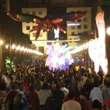 BH: Festa da Luz chega à 5ª edição homenageando o Brasil e a América Latina - Marcos Vieira/EM/D.A.Press