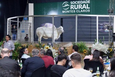 Leilões elite da raça Nelore  sao atrações na Expomontes -  (crédito: Solon Queiroz/divulgação)