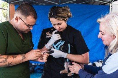  Em Contagem, mega mutirão de castração vai acontecer neste sábado (27/6) e pode bater recorde nacional -  (crédito:  Luci Sallum)