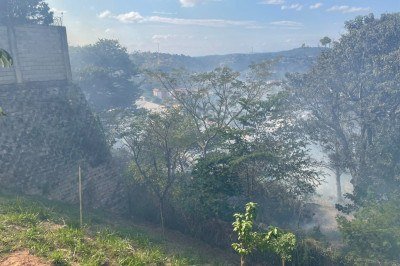 Chamas se espalharam pela vegeta&ccedil;&atilde;o do lote -  (crédito: CBMMG/Divulga&ccedil;&atilde;o)