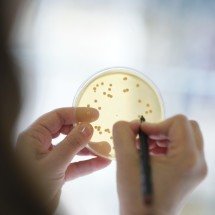 Probióticos em vez de antibióticos na produção animal -  Robert Eikelpoth