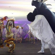 Festival de Parintins 2026: a disputa entre caprichoso e garantido que move a Amazônia - Portal Giro 10