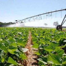 PIB mineiro deve crescer 1,2% este ano e desacelerar em 2027 - Faemg/Divulgação – 30/5/24.