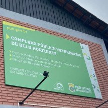 Veja onde fica o Hospital Veterinário Público de BH e como ser atendido - Reprodução/Redes Sociais 