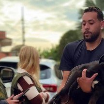 18 cães de rua morrem em Congonhas; polícia investiga - Reprodu&ccedil;&atilde;o