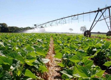 A economia mineira vem mostrando resiliência diante das crises externas e impactos das mudanças climáticas -  (crédito: Faemg/Divulgação – 30/5/24.)