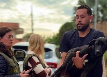 Conforme levantamento inicial, foram contabilizados 21 animais supostamente envenenados -  (crédito: Reprodu&ccedil;&atilde;o)