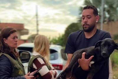 Conforme levantamento inicial, foram contabilizados 21 animais supostamente envenenados -  (crédito: Reprodu&ccedil;&atilde;o)