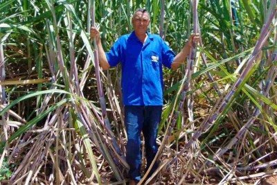 Jeremias dos Santos deixou o corte para se tornar um produtor de cana-de-açúcar, além de plantar milho, feijão e mandioca por meio de um sistema irrigado -  (crédito: Luiz Ribeiro/EM/D.A Press)