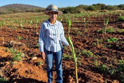 Isaltina Maria de Jesus Santos, que retornou para Janaúba após 17 anos fora, hoje é inspiração para outros agricultores -  (crédito: ARQUIVO PESSOAL)
