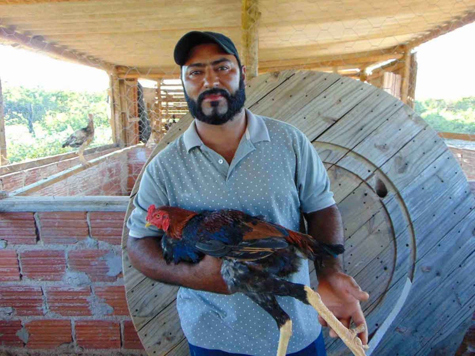 O ex-retirante Douglas Martins da Silveira transformou sua vida ao investir na cria&ccedil;&atilde;o de frango caipira, no Norte de Minas