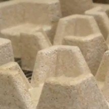 Como fungos estão permitindo cultivar tijolos e casas sustentáveis no futuro - Portal Giro 10