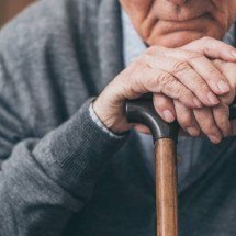 Novo estudo revela que ômega-3 em cápsulas não melhora a memória nem previne Alzheimer: o que a ciência descobriu - Portal Giro 10