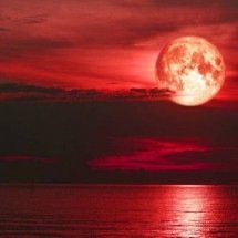 Lua de Morango: o que é o fenômeno e como observar o evento astronômico neste 29 de junho - Portal Giro 10