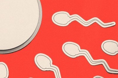 Em 1978, Louise Brown se tornou o primeiro bebê do mundo a nascer por meio de uma fertilização in vitro (FIV) bem-sucedida -  (crédito: AFP via Getty Images)