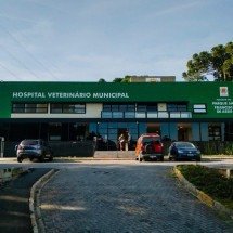 Hospital Veterinário de Curitiba se consolida como referência nacional e se aproxima de 60 mil atendimentos - PulseBrand