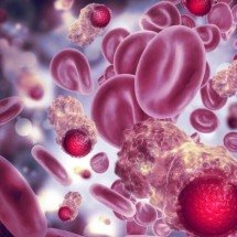Tratamento experimental pode forçar células do câncer de pâncreas a se destruírem - Portal Giro 10