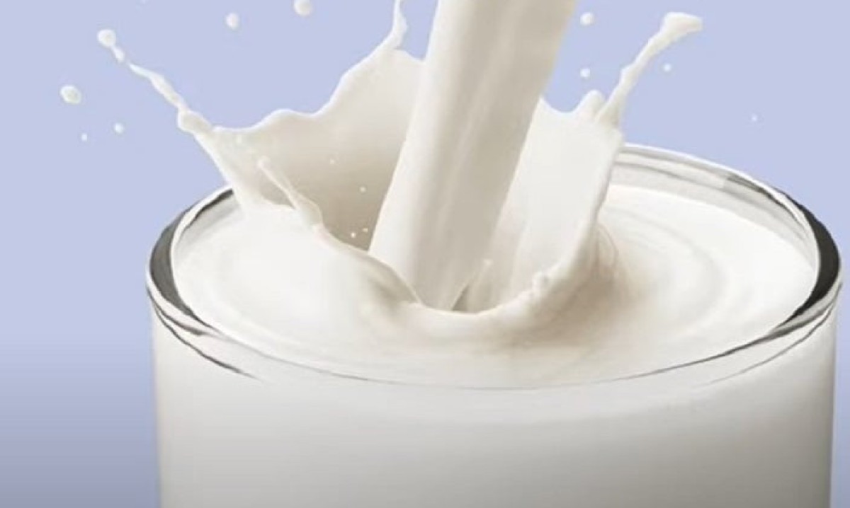 Cada vez mais pessoas buscam alternativas ao leite de vaca, seja por intolerância à lactose ou por escolha de estilo de vida. Nesse cenário, o leite de gergelim ganha espaço como uma opção vegetal nutritiva e diferenciada. - (crédito: Youtube/NewPointRevolucion)
