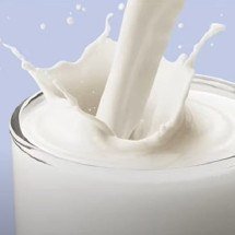 O detalhe no intestino que faz o leite virar um vilão após 30 minutos