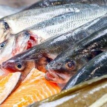 Do salmão ao bacalhau: descubra o que torna os peixes de águas frias tão importantes para uma alimentação equilibrada - Portal Giro 10