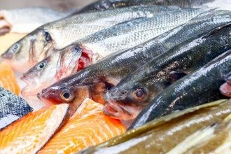 Do salmão ao bacalhau: descubra o que torna os peixes de águas frias tão importantes para uma alimentação equilibrada