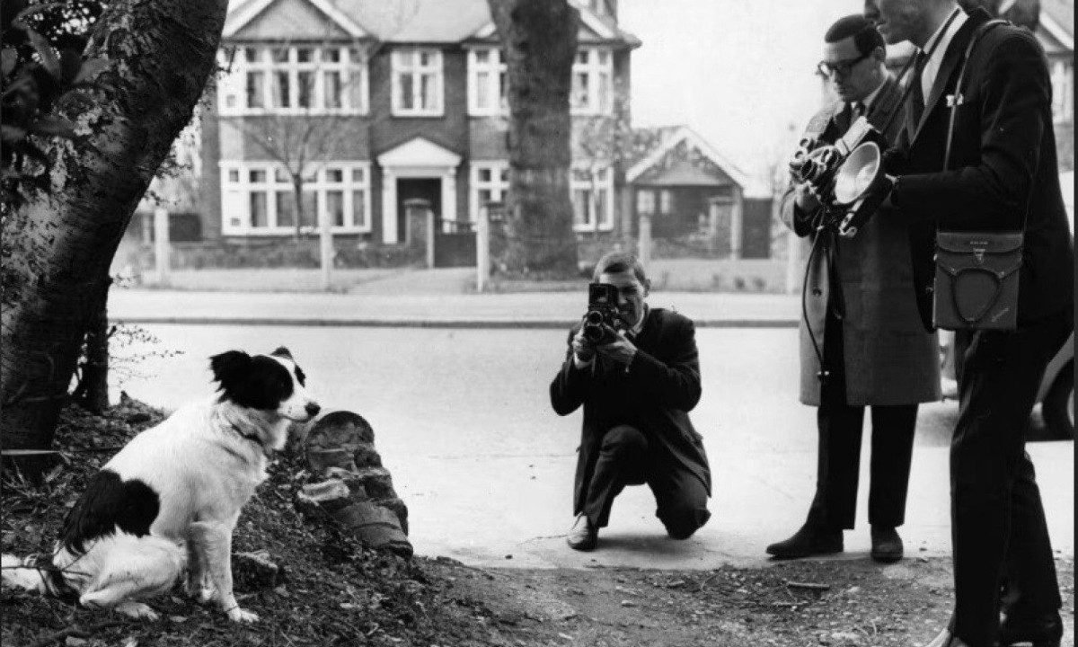 Quando o mundo procurava a ta&ccedil;a mais valiosa do futebol, foi um cachorro quem a encontrou:  Durante um passeio com seu dono, Pickles farejou um pacote envolto em jornal. o animal entrou para a hist&oacute;ria ao devolver a Jules Rimet aos holofotes da Copa de 1966