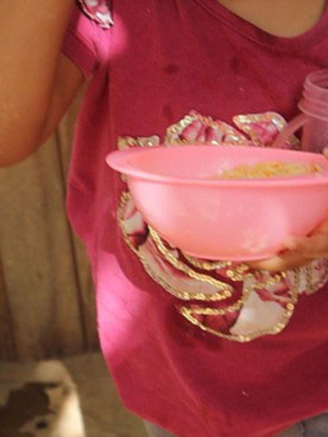 Inseguran&ccedil;a alimentar