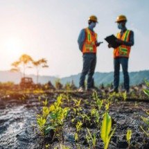 Como a engenharia ambiental está regenerando áreas degradadas em MG - Divulgação Ivoti Ambiental