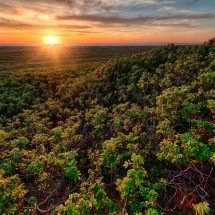 Ecora abre grupos de trabalho para o mercado de carbono
 - DINO