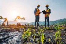 Como a engenharia ambiental está regenerando áreas degradadas em MG