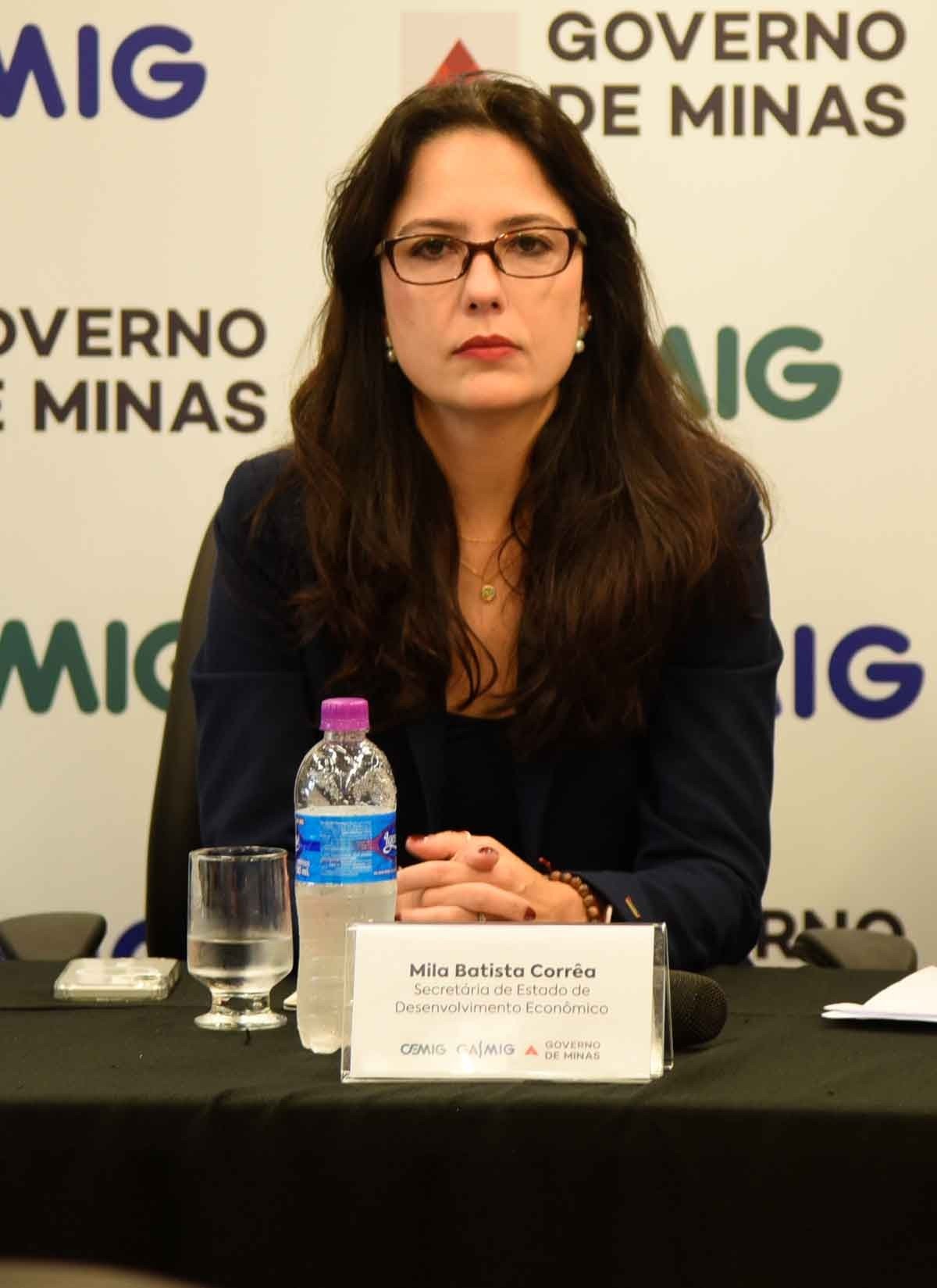 Mila Corr&ecirc;a da Costa, Secret&aacute;ria de Desenvolvimento Econ&ocirc;mico, a respeito de grupo de trabalho sobre a Reforma Tribut&aacute;ria