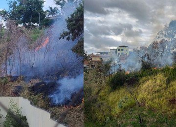 Incêndio atinge lote vago no bairro Luxemburgo, em BH -  (crédito: DIvulgação/CBMMG)