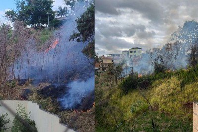 Incêndio atinge lote vago no bairro Luxemburgo, em BH -  (crédito: DIvulgação/CBMMG)