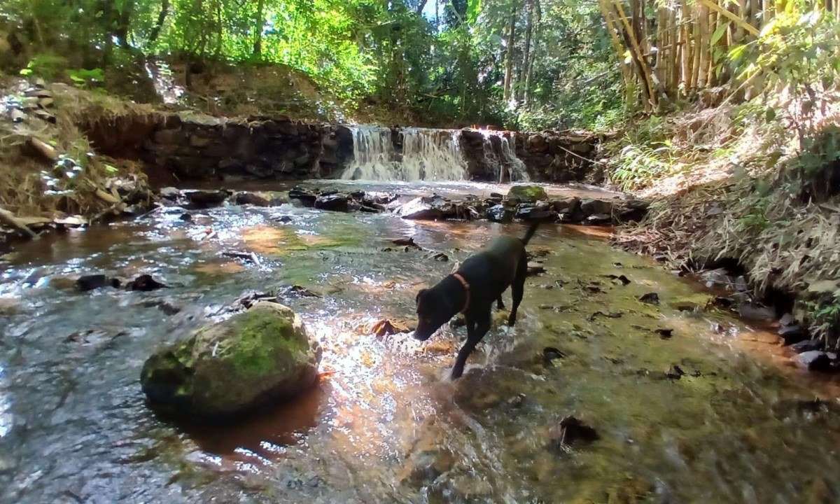 No Espa&ccedil;p Viverde, em Brumadinho, riacho se transforma em trilha para quem busca autoconhecimento