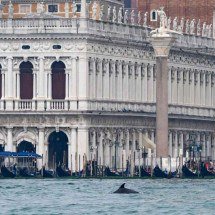 ‘Sertão-Veneza’ relaciona viagens de Rosa ao interior mineiro e à Itália - ANDREA PATTARO / AFP