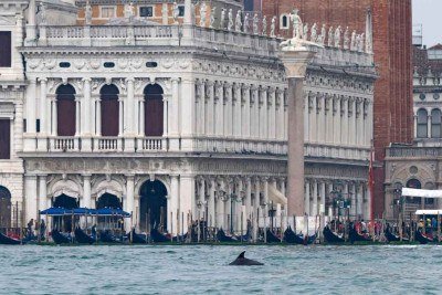 Veneza foi destino de viagens do escritor e diplomata joão Guimarães Rosa em 1949 e em 1951; autor mineiro tomou notas detalhadas das visitas, assim como fez no sertão -  (crédito: ANDREA PATTARO / AFP)