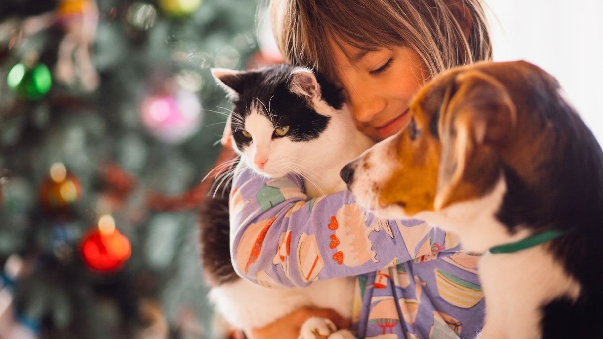 O afeto entre tutores e animais de estima&ccedil;&atilde;o ganha apoio de servi&ccedil;os especializados com a inaugura&ccedil;&atilde;o do novo hospital veterin&aacute;rio em BH. -  (crédito: FreePik)