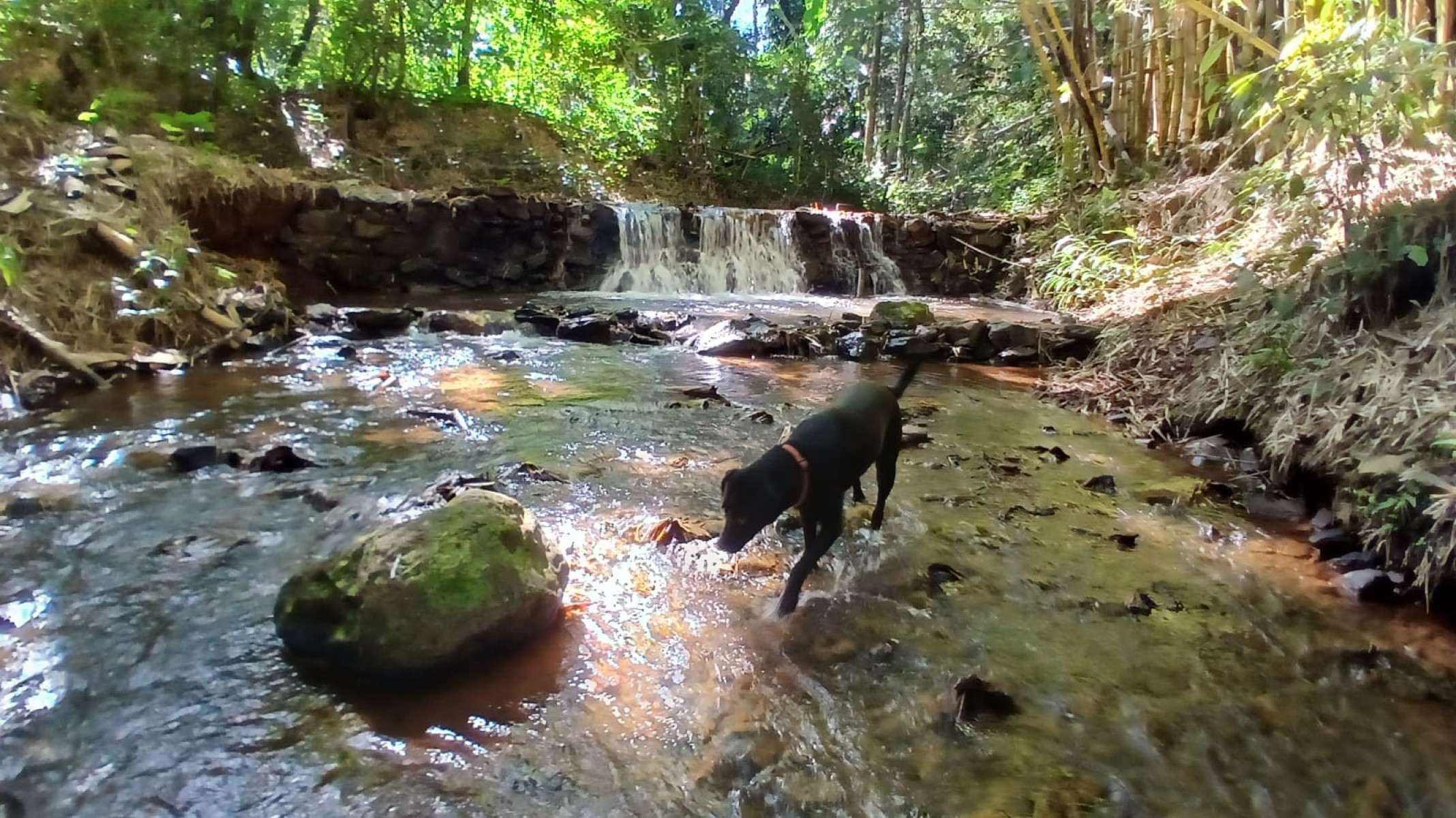 No Espaçp Viverde, em Brumadinho, riacho se transforma em trilha para quem busca autoconhecimento-Carlos Altman/EM