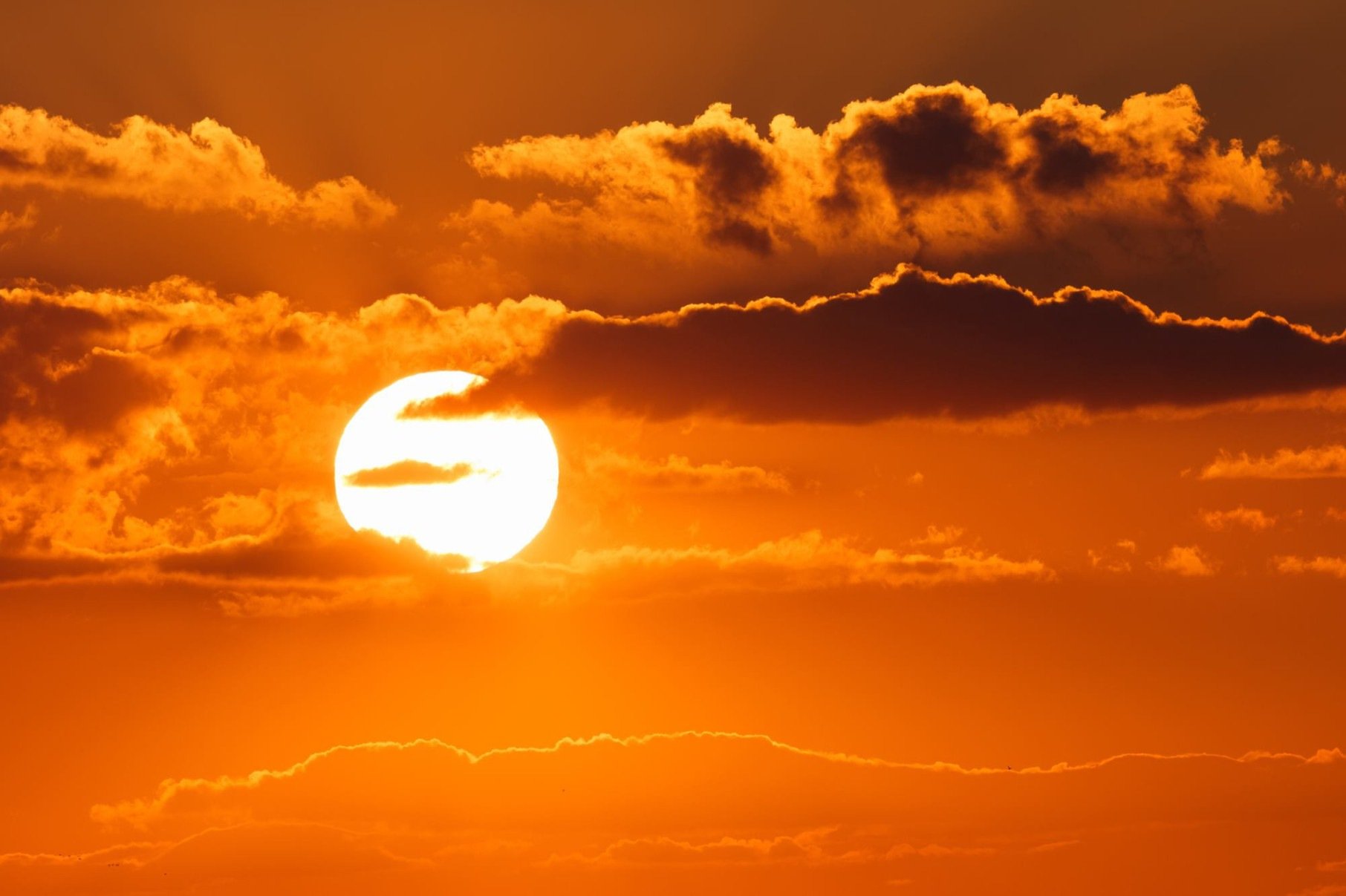 Temperatura atinge um dos níveis mais altos já registrados -  Breathtaking sunset in the evening - perfect for wallpapers and backgrounds