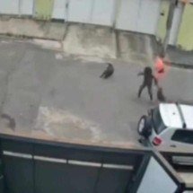 Vídeo mostra homem salvando cachorro e tutora de ataque de pitbull em MG - Câmeras de segurança/Reprodução